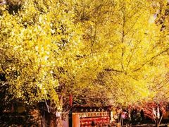 -大慈岩风景区