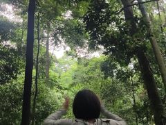 -凤栖山