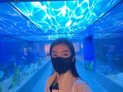 -广东中医药博物馆