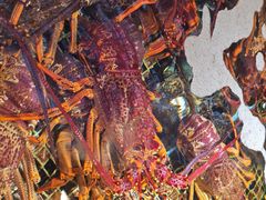 -海鲜e族(马王堆店)