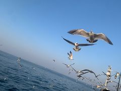 -大连海昌东方水城
