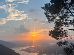 -铁山坪森林公园