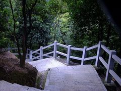 -阳台山森林公园