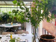 -野蔓果·山野菜(西湖景区·龙井茶田店)