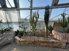 -北京植物园-展览温室