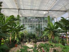 -国家植物园南园