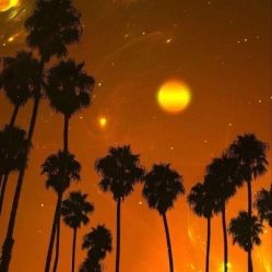 -薇兰专业脱毛连锁机构