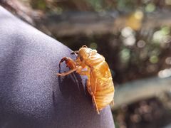 -周口店北京人遗址公园