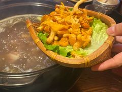 -滇野云南野生菌餐厅(陕西南路店)