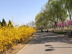 -永定河休闲森林公园