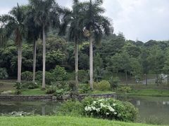 -云溪植物园