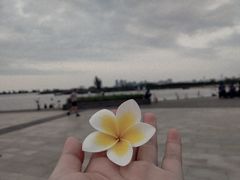 -万绿园