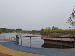 -东郊湿地公园