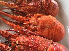 -Green Lobster Waskaduwa Seafood Restaurant