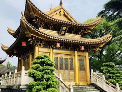 -上海东林寺(金山区)