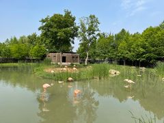 -新发现(苏州中心商场店)