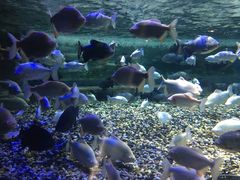 -成都浩海立方海洋公园