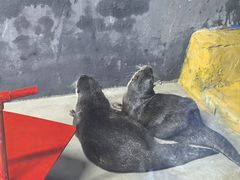 -太平洋海底世界