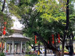 -荔湾湖公园