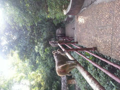android_upload_pic-伊岭岩风景区
