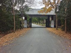 -上海海湾国家森林公园