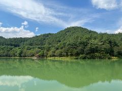 -广州白江湖森林公园