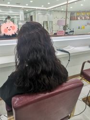 -镁连社·美联社