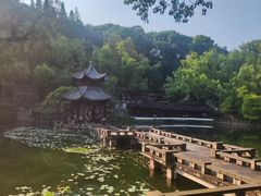 -忠山公园