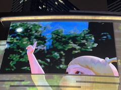 -石家庄万象城