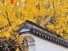 -惠山古镇·寄畅园