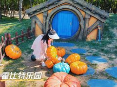 -渔岛海洋度假区