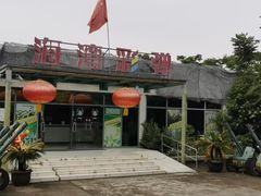 -上海海湾国家森林公园