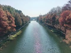 -上海海湾国家森林公园