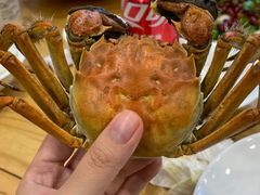 -品鲜村农家菜·阳澄湖大闸蟹(总店)