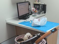 -达爱动物医院·犬猫分区·CT·复杂眼科(远洋山水分院)