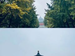 -天坛公园