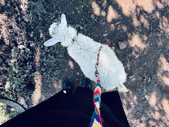 -敕勒川草原文化旅游区