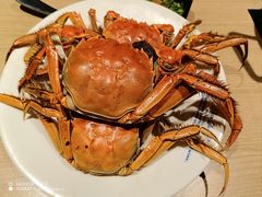 -星伦多自助料理(爱琴海店)