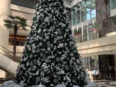 -广州白云机场雅高铂尔曼大酒店