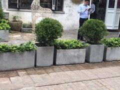 门面-蜜桃花开·中西融合菜E&W(南长街店)