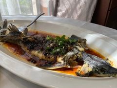 豉椒蒸软骨鱼-万龙洲海鲜(大兴绿地缤纷城店)