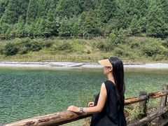 -武陵山森林公园