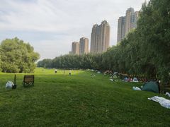 -长白岛森林公园