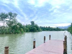 -白鹭湾湿地公园