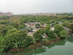 -小洲村