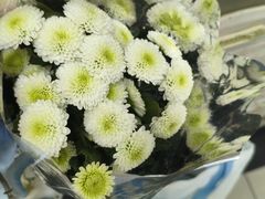 -上海市宝兴殡仪馆