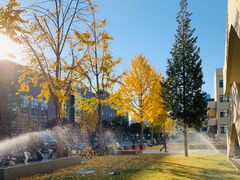 -北京大学百年讲堂