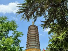 -八大处公园