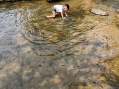 -武汉紫薇都市田园