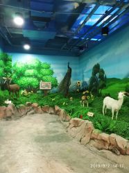 -酷嗒动物文化乐园(cutezoo西溪乐天城店)